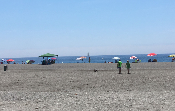 La playa para perros de Motril se convierte en uno de los recursos tursticos con ms aceptacin
